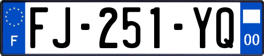 FJ-251-YQ
