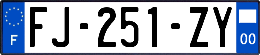 FJ-251-ZY