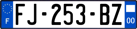 FJ-253-BZ