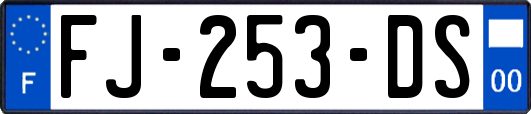 FJ-253-DS