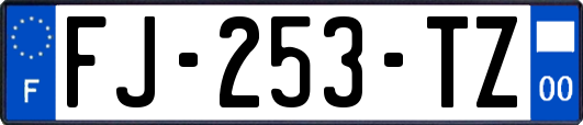 FJ-253-TZ