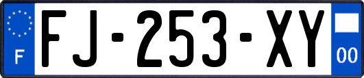 FJ-253-XY
