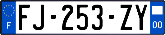 FJ-253-ZY