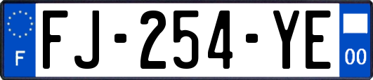 FJ-254-YE