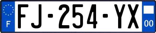 FJ-254-YX
