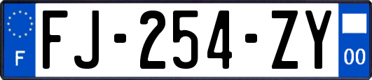 FJ-254-ZY