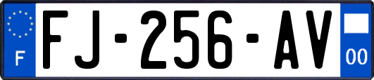 FJ-256-AV