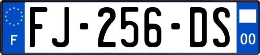 FJ-256-DS