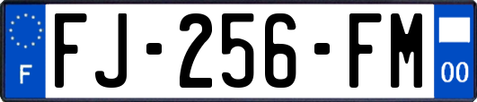 FJ-256-FM