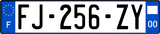 FJ-256-ZY