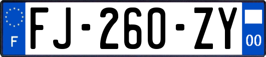 FJ-260-ZY