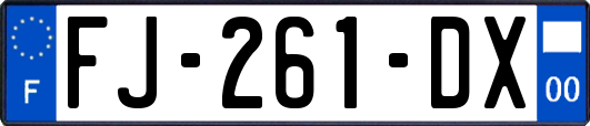 FJ-261-DX