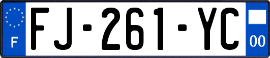 FJ-261-YC