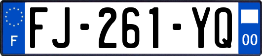 FJ-261-YQ