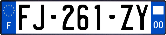 FJ-261-ZY