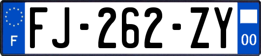 FJ-262-ZY