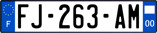 FJ-263-AM