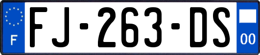 FJ-263-DS