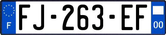 FJ-263-EF