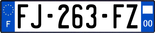 FJ-263-FZ