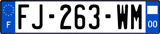 FJ-263-WM