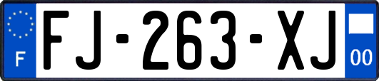 FJ-263-XJ