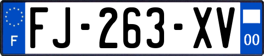 FJ-263-XV