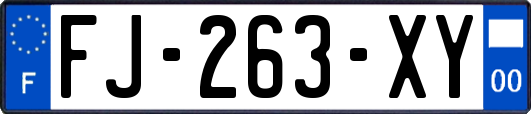 FJ-263-XY