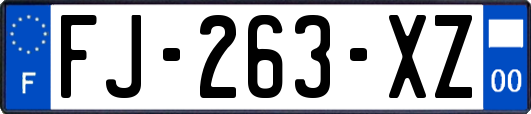 FJ-263-XZ