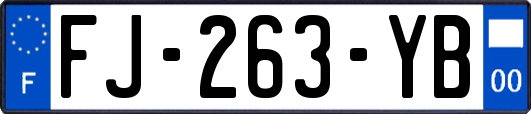 FJ-263-YB
