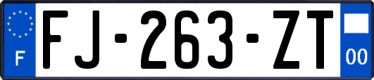 FJ-263-ZT