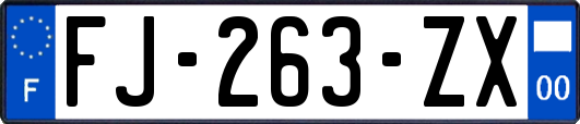 FJ-263-ZX