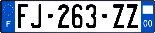 FJ-263-ZZ