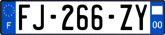 FJ-266-ZY