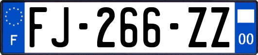 FJ-266-ZZ