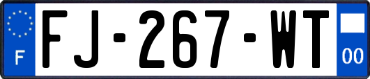 FJ-267-WT