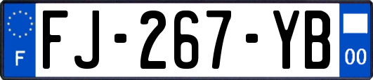 FJ-267-YB