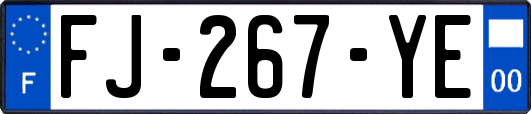 FJ-267-YE