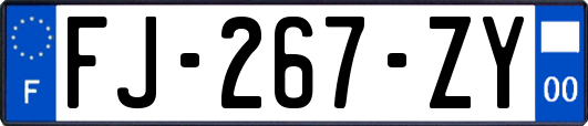 FJ-267-ZY