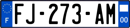 FJ-273-AM