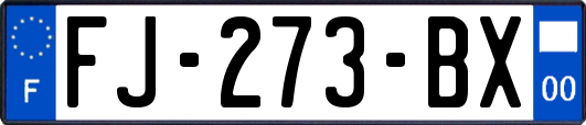 FJ-273-BX