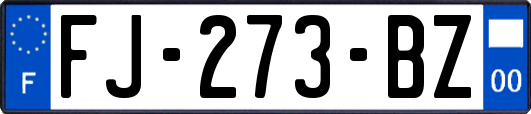 FJ-273-BZ