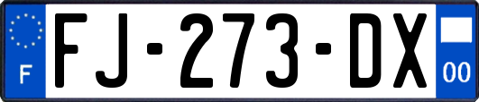 FJ-273-DX