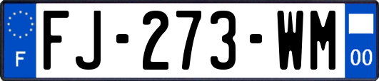 FJ-273-WM