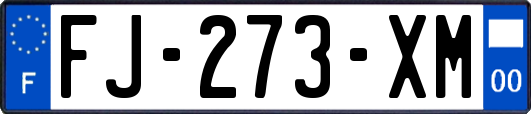 FJ-273-XM