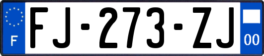 FJ-273-ZJ