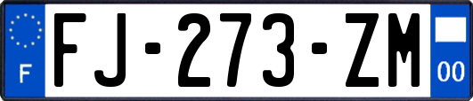 FJ-273-ZM