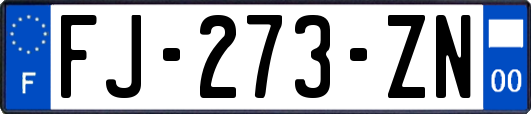 FJ-273-ZN