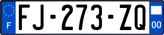 FJ-273-ZQ