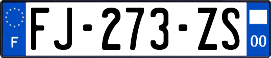 FJ-273-ZS